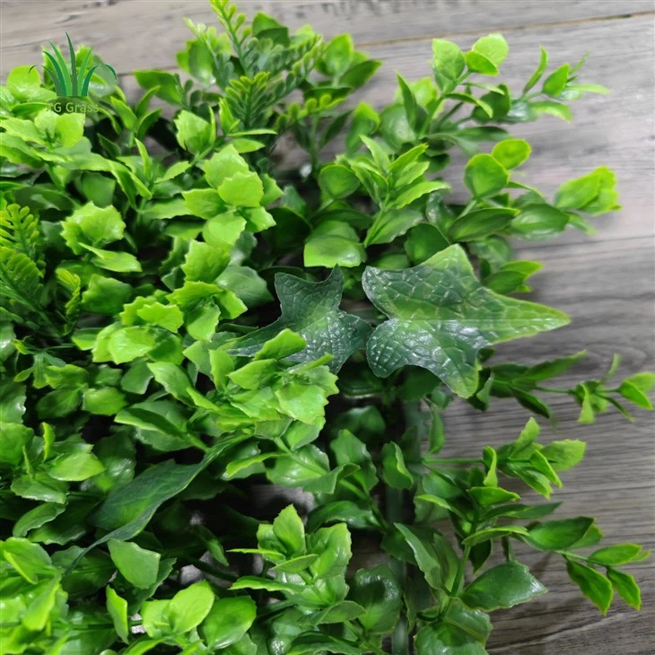 Best Plants For Indoor Living Wall