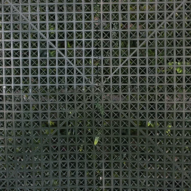 Grass Interior Wall