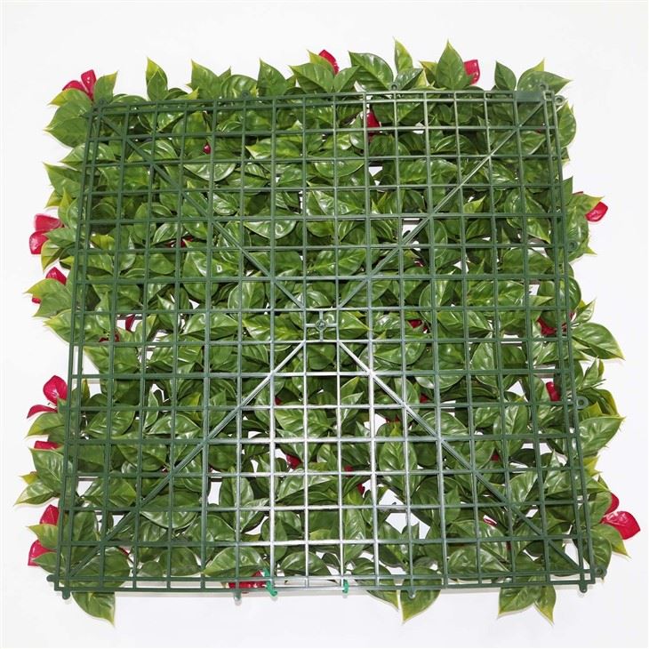 Ivy Indoor Wall