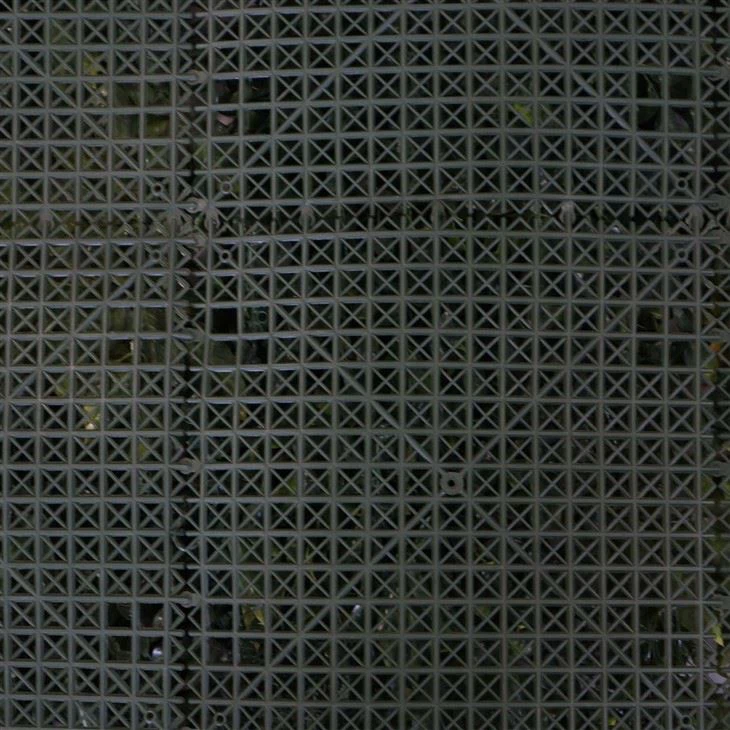 Living Wall Inside House