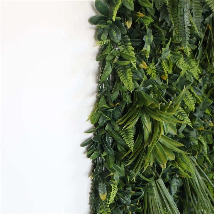 Plant Wall in Office