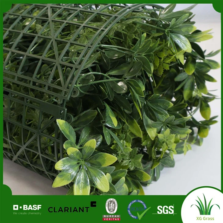 Biljni zid unutar kuće