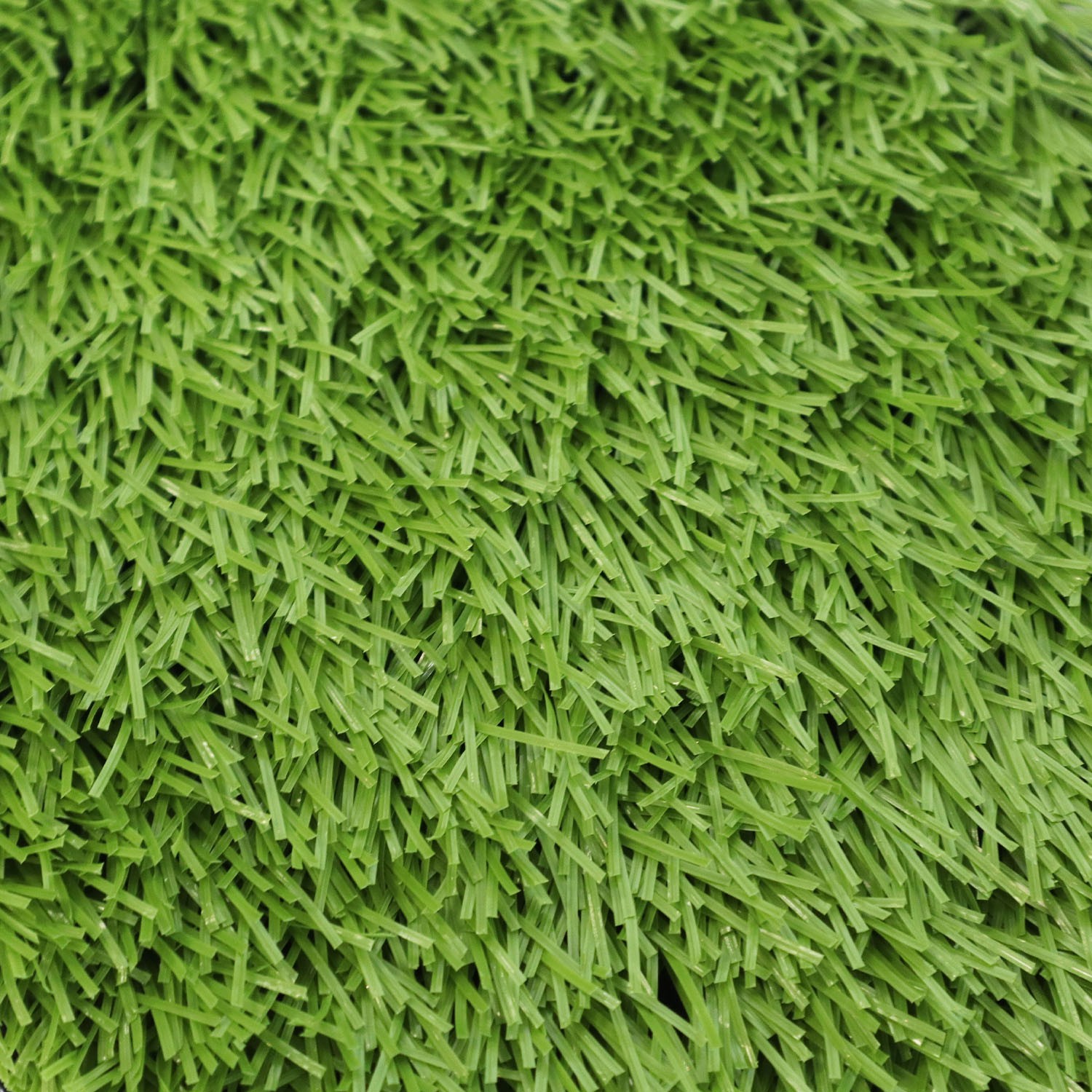 GNAOSX5016-4 GNAOSX5016-4