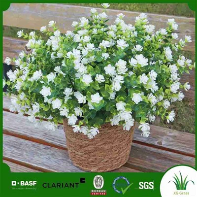 Biljke umjetne poinsettije