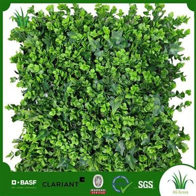 Najbolje biljke za unutarnje zidove