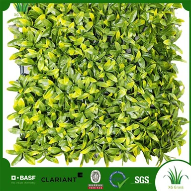 Uradi sam zeleni zid u zatvorenom