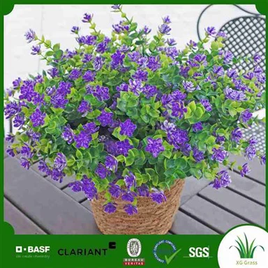 Lažne stabljike magnolije