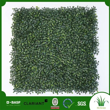 Unutarnje zidno zelenilo