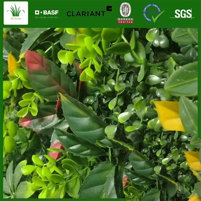 Velika unutarnja zidna žardinjera