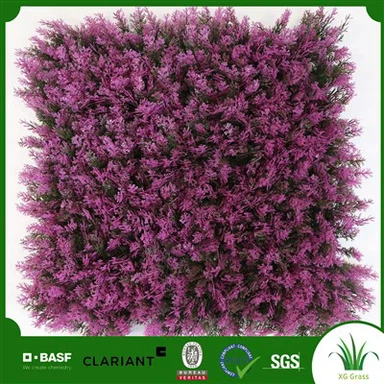 Vertikalni zid za unutarnje biljke