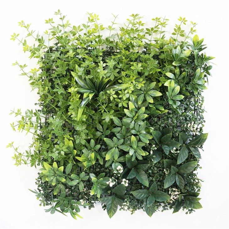 Sustainable Green Wall