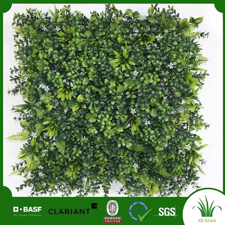 Vertikalni vrtni unutarnji zid