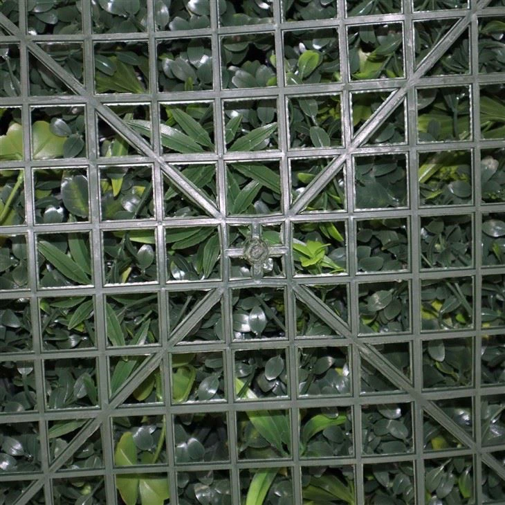 Vertical Garden Indoor Wall