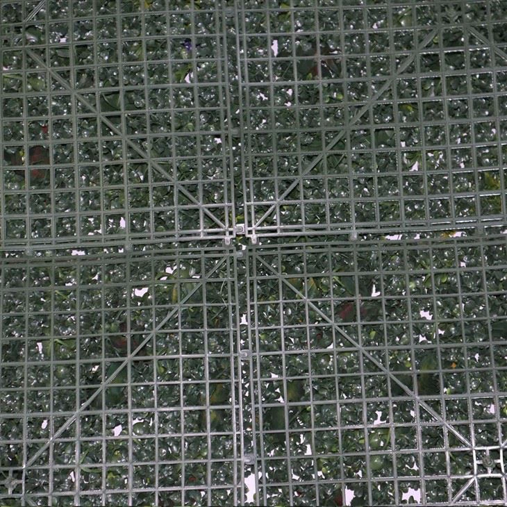 Vertical Herb Garden Kitchen