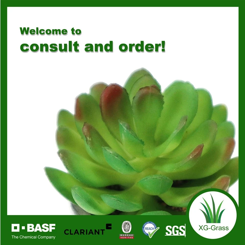 XG Premium Artificial Succulent Planter suppliers