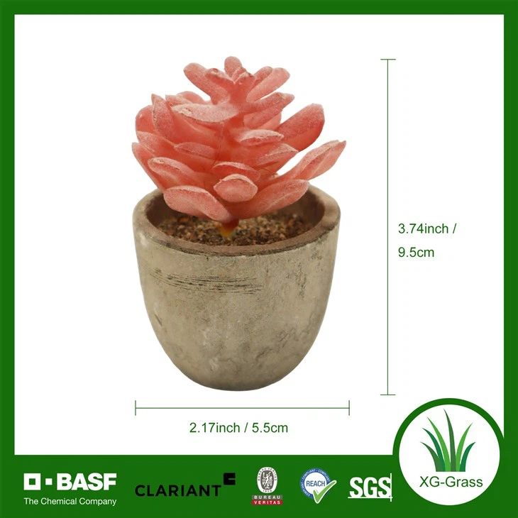 Xingu Lifelike Red Artificial Succulent Plant For Home Decor suppliers