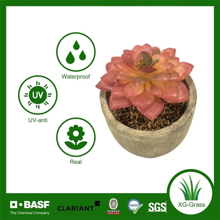 Xingu Lifelike Succulent Home Decor For Stylish Indoor Spaces high quality